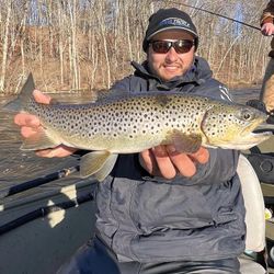 Angler catches a rainbow trout in MI