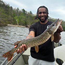 Northern pike caught fishing in Stanwood MI