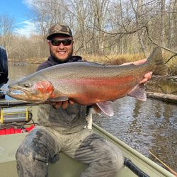 A single pink salmon caught fishing in MI