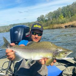 Pink salmon caught while fishing in Stanwood
