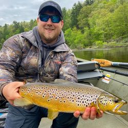 A lone sea trout, a 21-inch trophy fish, caught in MI.
