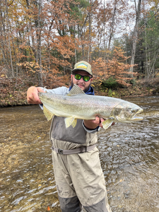 Nice rainbow trout on the fly with autumn colors all around!