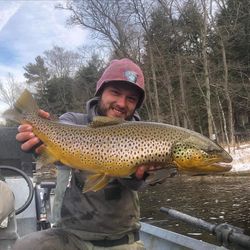 Photograph of a Rainbow Trout caught in MI