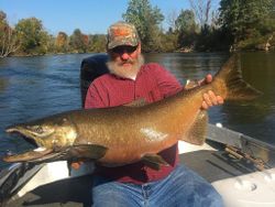 Impressive rainbow trout caught while fishing in MI