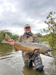 Nice rainbow trout on the fly today!