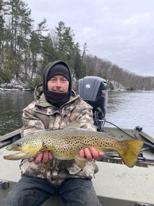 Caught a 27-inch rainbow trout in MI