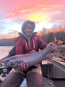 Photograph of a Rainbow Trout caught by an angler in Stanwood