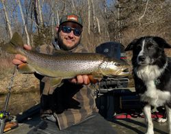 Rainbow Trout caught while fishing in Stanwood