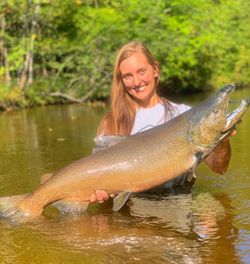 A rainbow trout caught by a fisherman in Stanwood