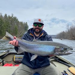 A rainbow trout caught in Stanwood