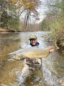 Nice salmon from the river using fly fishing technique. Cloudy afternoon made for good conditions.