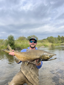 Nice salmon on the fly today! Great action in these shallow waters.
