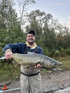 Nice salmon on the fly! Clear skies made for exciting fishing conditions.