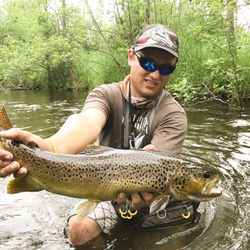Magnificent sea trout caught in Stanwood