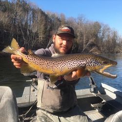 Photograph of a 26-inch sea trout caught while fishing in MI.
