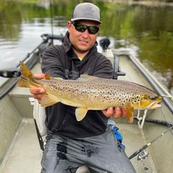 Angler with a beautiful sea trout, caught in Stanwood