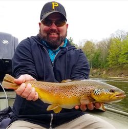 A sea trout measuring 17 inches caught while fishing in Michigan