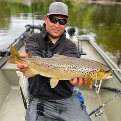 Sea trout caught in MI, 23 inches long