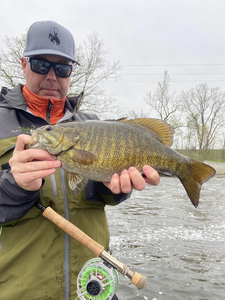 Nice Smallmouth Bass caught fly fishing today. Partly cloudy conditions made for an exciting adventure on the water.