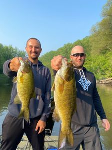 Two Smallmouth Bass, 28 inches, caught while fishing in Stanwood