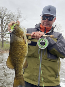 Nice smallmouth bass using fly fishing technique in partly cloudy conditions!