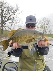 Nice Smallmouth Bass using fly fishing technique!