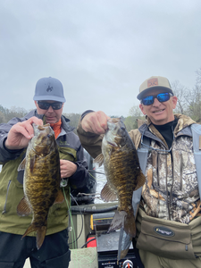 Nice pair of smallmouth bass on the fly today! Partly cloudy conditions made for exciting fishing.