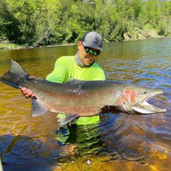 Sockeye Salmon, 35 inches, caught in Stanwood