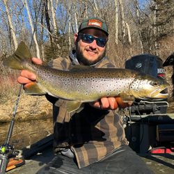 A sea trout caught while fishing in Stanwood