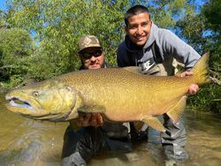 A trophy lake trout caught in MI