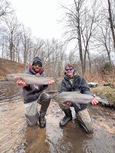 Two rainbow trout caught in Stanwood