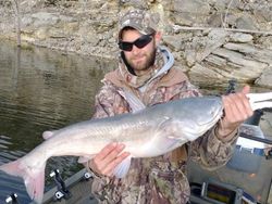 Truman Lake Catfish Fishing, MO