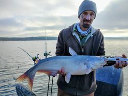 Catfish Fishing In Missouri