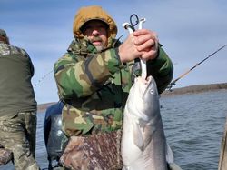 Freshwater Fishing in Missouri