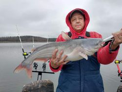 Ozarks Fishing
