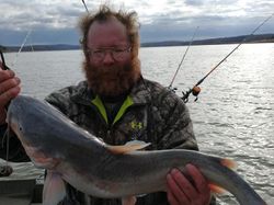 Blue Catfish from Missouri
