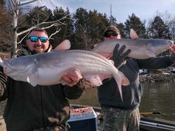 Ozarks Fishing, MO