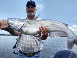 Catfish Fishing In Missouri