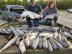 Tons of Blue Catfish!