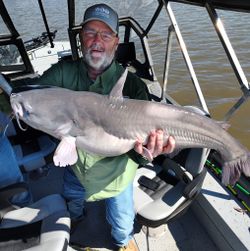 A fisherman holding a large blue catfish in Warsaw