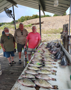 Blasted today with white crappie using jigging and bait casting techniques!