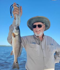 Redfish caught while fishing in FL