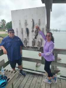 Fresh caught speckled trout and black drum displayed on cleaning station after successful fishing trip in Corpus Christi TX