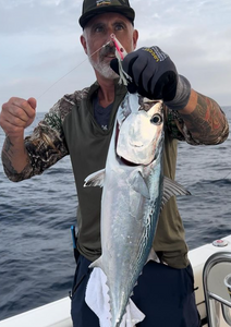 Little Tunny fish caught in New York City
