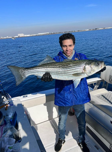 Striped bass caught in New York City