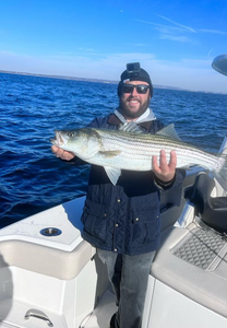 Striped bass fishing in NY