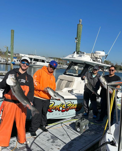 3 striped bass caught while fishing in NY