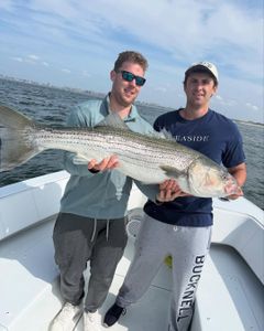 Striped bass fishing in New York City