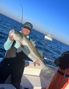 Striped bass caught while fishing in New York City
