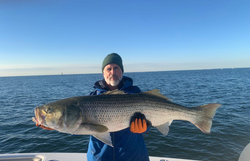 Striped bass caught in New York City